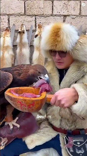 Why Birds Eat Stones | Amazing Bird Digestion Facts