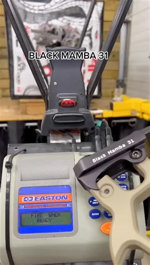 Ultimate Hunting Experience with Black Mamba 31 Compound Bow