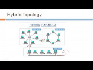 Hybrid Topology - Networking