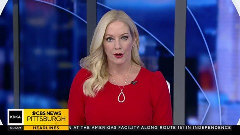 1 woman hospitalized after being stabbed multiple times in Carnegie