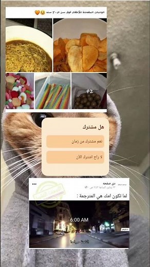 #ضحك #كوميديا #مقاطع_مضحكة #نكت #فيديوهات_مضحكة #ترفيه #اضحك_من_قلبك #دولة_الامارات_العربية_المتحدة