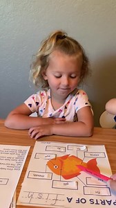 Parts of a Fish | Preschool Science - Etsy UK