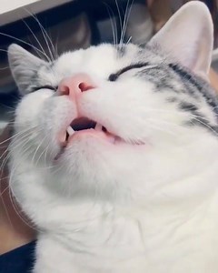 Sound on | Funny Videos