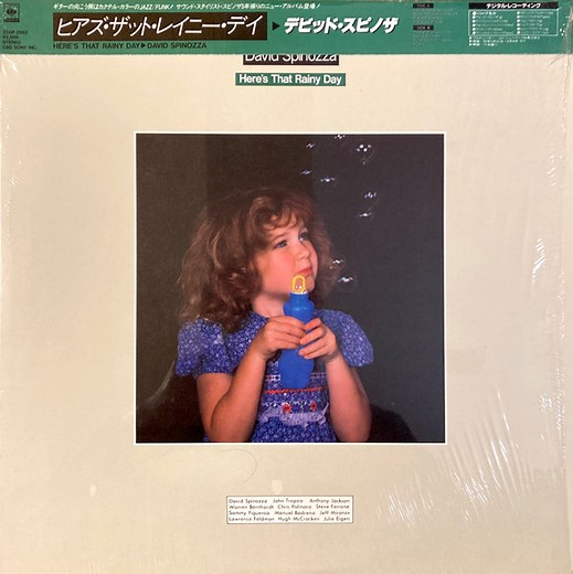 David Spinozza - Here's That Rainy Day