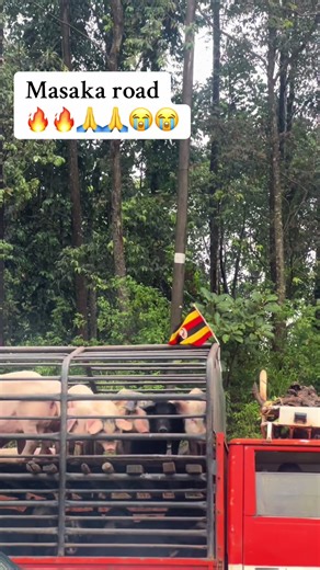 ★♧DIRECT●R JB MEDIA 🚨📽📸 (@jb_media1)’s videos with original sound - rahimwinterslyrics