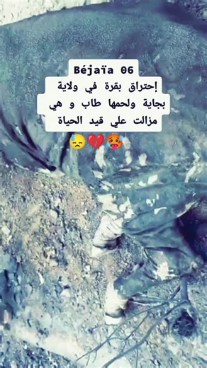 vraiment triste 💔