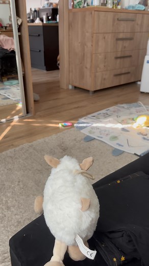 8.7K views · 3.9K reactions | Streda #sranda #srandamusibyt #zabava #sk #cz #fyp #funny #dog #pes #pejsek #psik #staffy #staffie #preteba #protebe | Aaronik démonik | Facebook