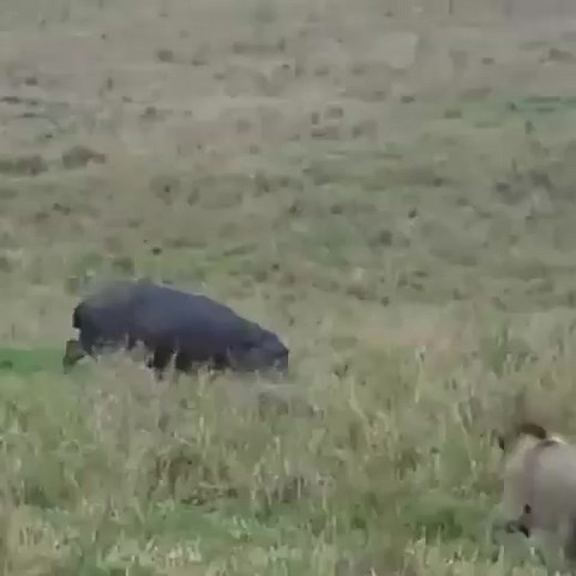 Daniel Mbugua on Reels