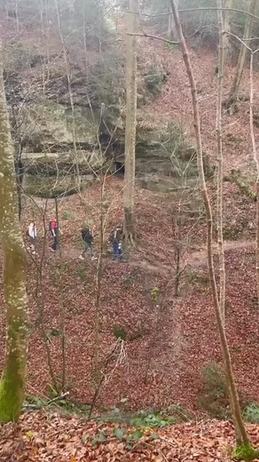 Droom je van een wandelweekend vol natuur, rust en avontuur? In maart en mei trekken we er opnieuw op uit naar het betoverende Mullerthal, het ‘Klein Zwitserland’ van Luxemburg. Vier dagen lang ontdek je grillige rotsformaties, smalle kloven, kabbelende beekjes en panoramische uitzichten! 直 En het beste nieuws?  Je kan nu nog boeken met vroegboekkorting. Link in bio! Een heerlijk actief mini-escape, perfect om de lente in te zetten.  Let’s hike! | Bunkhouse | Facebook