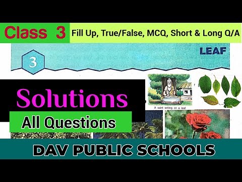 DAV class 3 Science Chapter 3 Leaf - Solutions, All Questions (FillUp, T/F, MCQ, Short & Long Q/A)