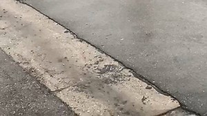 9.1K views · 39 reactions | Today's heavy rainfall in the county has resulted in some flooding in Taft. | KGET - TV 17 Bakersfield | Facebook