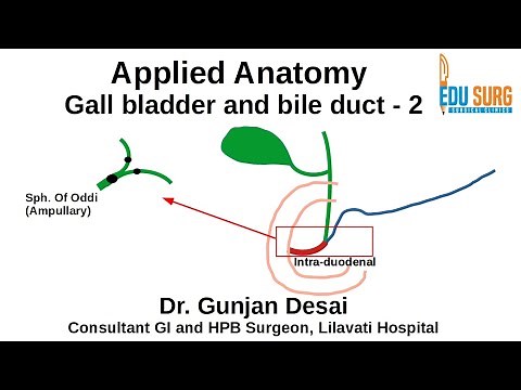 Mastering gall bladder and bile duct anatomy part 2 - Blood supply, lymphatic drainage