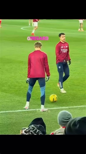 OMADBEK☠️ on Instagram: "Follow me bro🫂🤝 Two elephant siblings teasing each other in the wild might look playful, but it’s actually a tiny glimpse into how deeply intelligent and expressive these gentle giants are becoming in front of human eyes. Their back-and-forth nudges, mock chase, and cheeky bumps follow the same idea behind natural social bonding, where every movement is a message and every reaction is a story. Just like adaptive behavior in the animal world, their little “arguments” sh