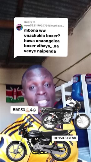 BM150 Brush Boxer: Features and Performance Review