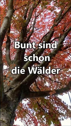 Bunt sind schon die Wälder