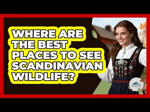 Where Are The Best Places To See Scandinavian Wildlife? - Unmapping Scandinavia