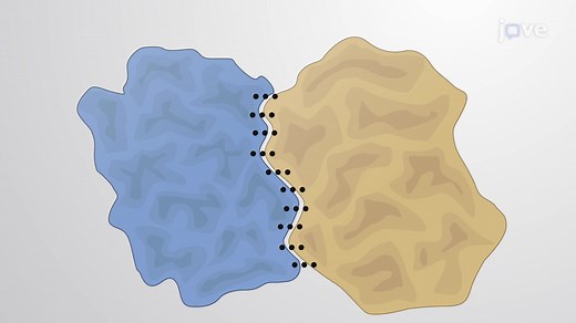 Video: Protein-protein Interfaces