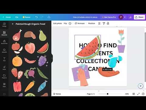 Canva Tutorial: How to Find and Utilize Element Collections for Stunning Designs
