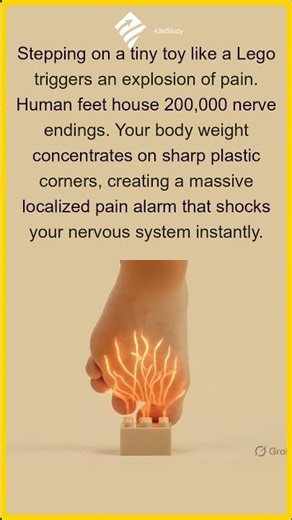 Why Stepping on Lego Hurts So Much! | The Science of Pain