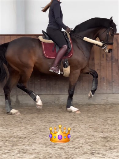 Horse Dressage: Dance Moves & Equestrian Skills