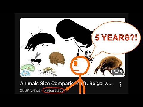 Animals Size Comparison (ft. Reigarw Comparisons)