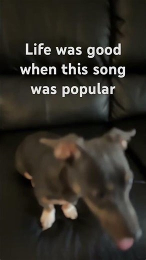 iPhone 16 camera so badddd