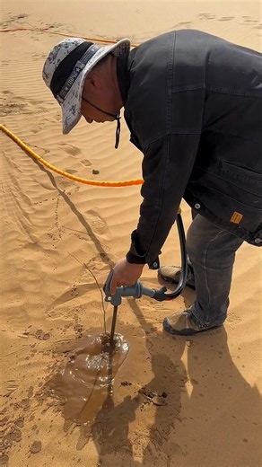 China Is Turning Deserts Green With Amazing Drought-Resistant Plants 🌱🏜️