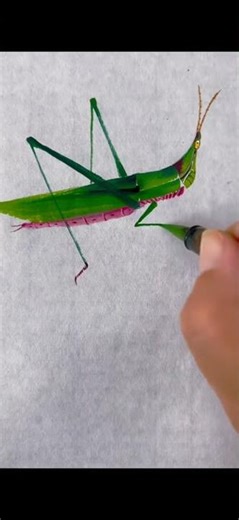 Chinese saber-toothed locust, Chinese painting tutorial, insect, freehand Chinese painting, 100