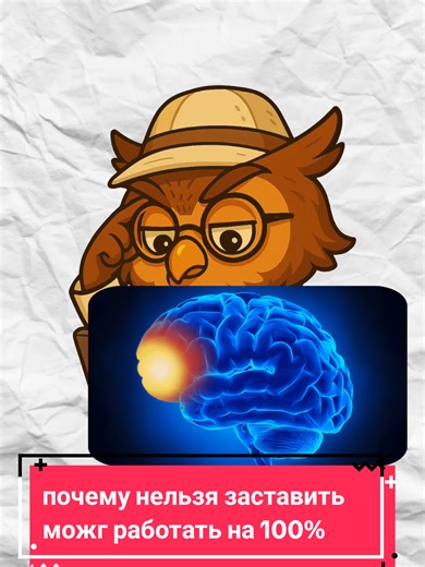 Survival guide (@ai_interactive)’s videos with Numbers - TEMPOREX