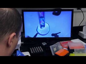 Harvesting protein crystals for X-ray crystallography - Shabek Lab at UC Davis