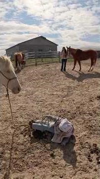 Family horseback ride! #family #horseback #adventure
