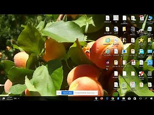 تصميم أول موقع ويب باستخدام برنامج المفكرة