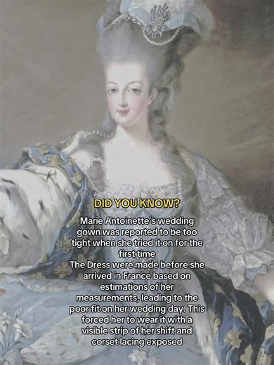 Marie Antoinette's Wedding Dress Misfit Explained