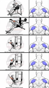 43K views · 692 reactions | The Rear Delt Workout That Builds Width, 3D Shoulders, and Complete Upper-Back Definition#reardelts #3Dshoulders #deltsworkout #gymmotivation | Junior B Divenson Jean | Facebook