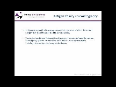 Antibody Purification Webinar: What you need to know to use antibodies effectively