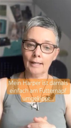 Mein Hund ist plötzlich umgekippt…