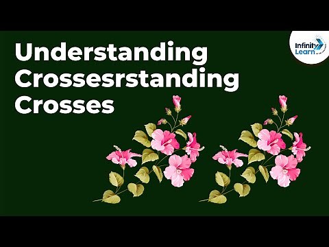 Genetics - Understanding Crosses - Lesson 6 | Don't Memorise