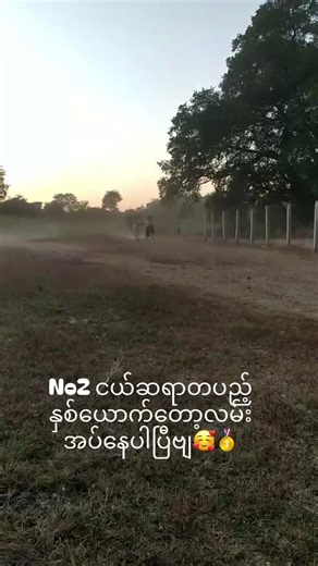 original sound - ❤️zin❤️Pyae❤️ 🎌🎌 - Pyae gyi(ပဲခူးသားလေး)🇲🇲🎌🎌이(가) 포함된 Phyo Kyaw (@phyo.kyaw038) 님의 동영상