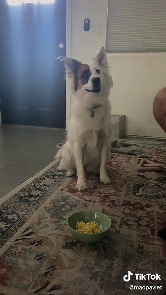 Popcorn Dog Cake Recipe for Lola's Birthday