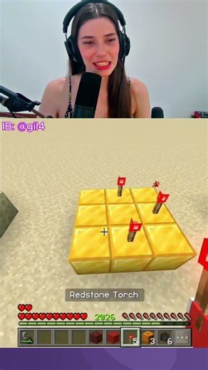 FAKE VS REAL #minecraft