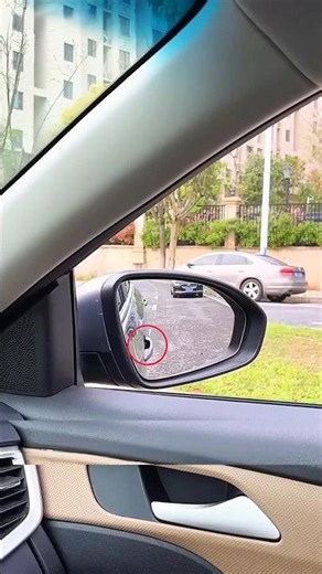 How to Correctly Adjust Your Side Mirrors! 🚗 #mirror #adjustment