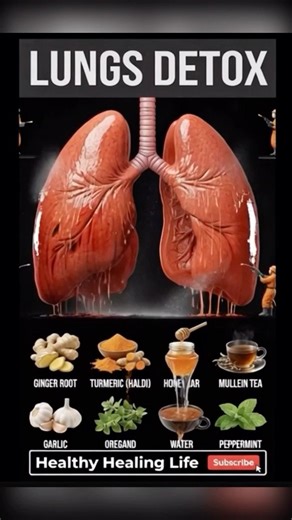 Lungs Detox | What Actually Cleanses Respiratory System#shortsfeed #lungs #lungsdisease #shorts