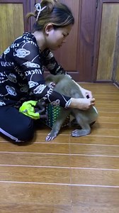 Admiring Judee Stronqly Requst Mom To Tenderly Care Maddox On Her Own | The Judy Family