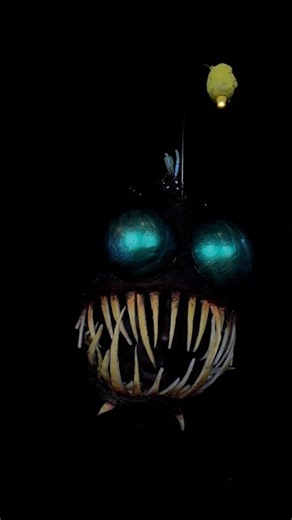 Paula's spooky look 😥 Who knows who this is?? 🐟💡