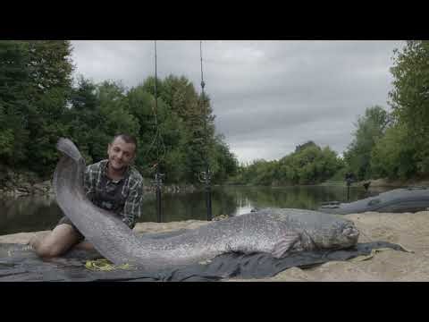 El Siluro de la Playa | Tour de Pesca