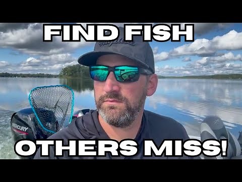Fishing's Forgotten Skill: How to Read the Water Like a Pro (No Electronics!)