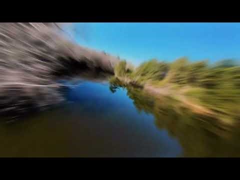 Peaceful FPV Flight | Lake & Forest Cinematic nature 4k