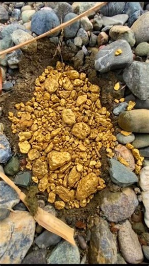 Finding Super Beautiful and Luxurious Gold Nuggets, Inside Quartz Stone #golddiscovery #findgold