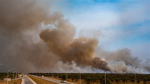 Collier County shutters Alligator Alley but what about Alligator Alcatraz?