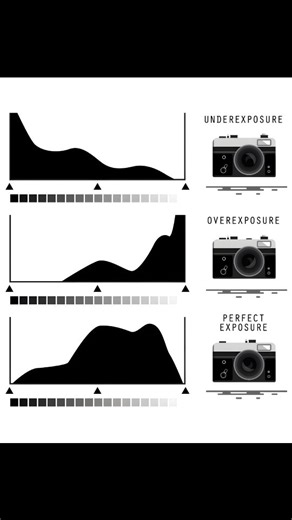 𝐍𝐢𝐜𝐤 𝐏𝐡𝐨𝐭𝐨𝐠𝐫𝐚𝐩𝐡𝐲 𝐓𝐫𝐢𝐜𝐤𝐬 📸♛ 𝐁𝐡𝐨𝐩𝐚𝐥 on Instagram: "Photography Histogram 📸📽️ . . Photography Tricks Challenge Day 5 out of 30 Days 📸🤯 . . Photography and Cinematography :- @nick_art_studio . . Use :- #nickartstudio . . #photography #photographytricks #photographytips #photographer"